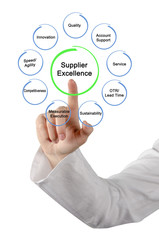 Components of Supplier Excellence