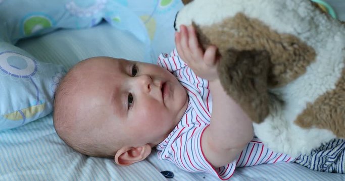 Cute Five Month Old Baby Boy Playing With a Plush Dog. Close Up View - DCi 4K Resolution