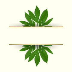 Geometric botanical vector design frame. Vector floral design card. Green peony leaves pattern. Gold line art. Vector garden illustration, Wedding Invitation