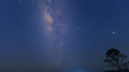 Fototapeta na wymiar Milky way over tree. universe space shot of milky way galaxy with stars on a night sky background.
