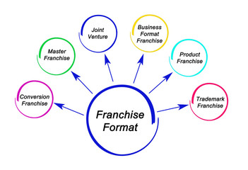 Six Franchise Formats