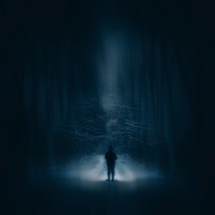 Surreal night forest landscape with alone strange man with flashlight. - 202622063