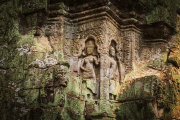 Fototapeta na wymiar Ta Prohm temple - a symbiosis of roots and stones.