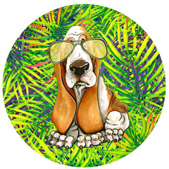 Basset in sunglasses in a round frame. palm leaves. Isolated on white background. - 202623655