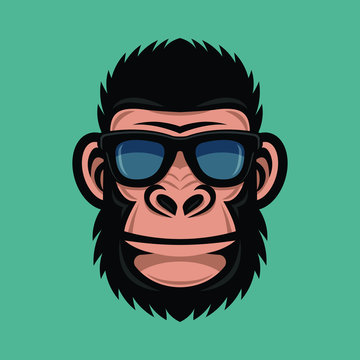 Monkey with sunglasses. Cool gorilla