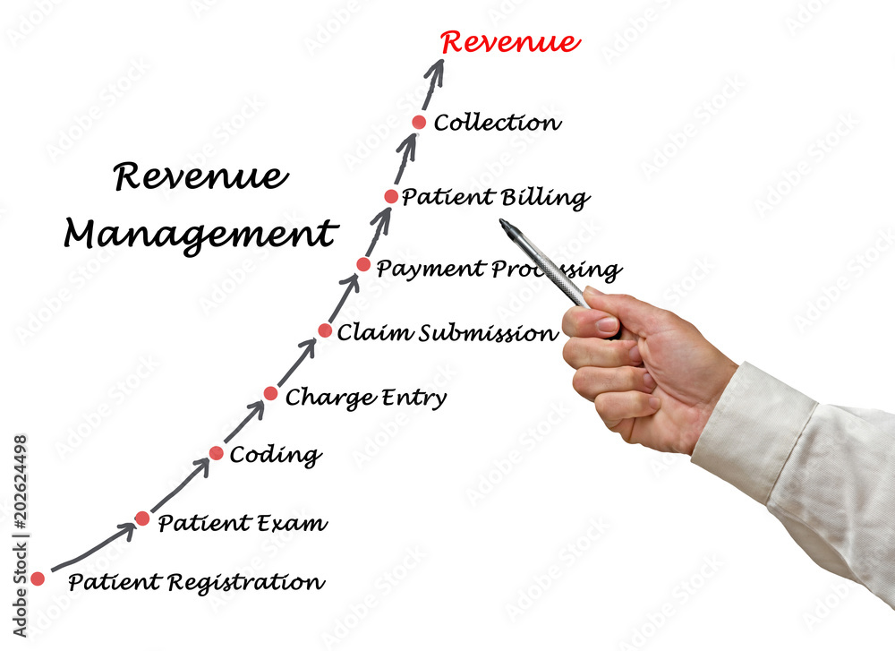 Sticker Diagram of Revenue  Management