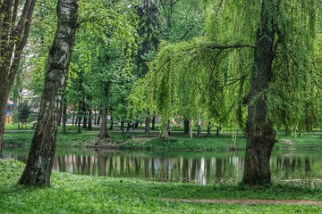 lake in the city park, spring