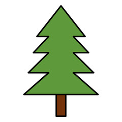Obraz premium pine tree plant natural icon vector illustration design