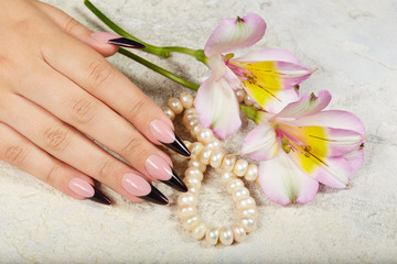 Hand with long artificial black french manicured nails and lily flowers