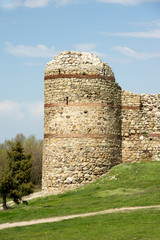 Naklejka premium Mezek fortress