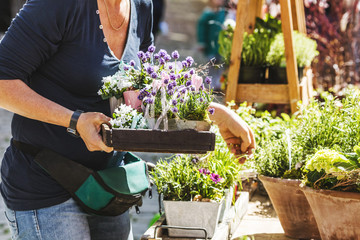 Blumenstand auf einem Wochenmarkt (stand mit blumen sortiment)