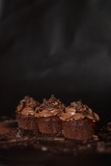 Vertical photo of yummy homemade chocolate cupcakes with chocolate gnache and chocolate crumbles
