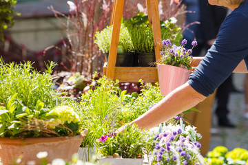 Blumenstand auf einem Wochenmarkt (stand mit blumen sortiment)