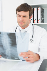 Fototapeta premium Concentrated male doctor looking at xray picture of spine