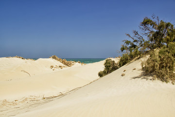 Sandwüste mit Meersicht