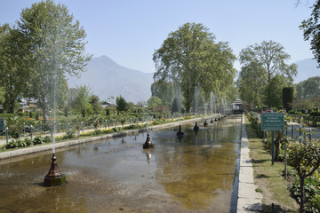 Fototapeta na wymiar Paradise on Earth, Kashmir Valley