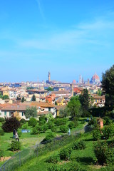 Fototapeta na wymiar the panorama in Florence from the garden of roses