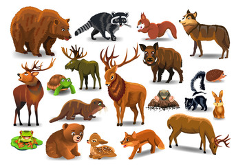 Vector set of wild forest animals like stag, bear, wolf, fox, tortoise isolated on a white background