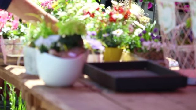 Blumenstand auf einem Wochenmarkt (vorbereitung ) video