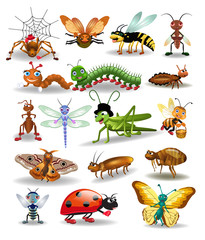 Vector collection of insects, like spider, wasp, mosquito, worm, butterfly, ladybug, fly isolated on a white background