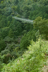 Suspension bridge in the mountain back