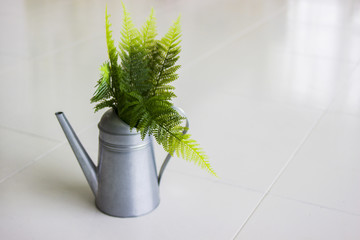 Vintage style watering can. Metal watering can with green fern.