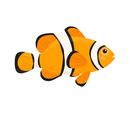 Cute clown fish on white background. Stock Vector | Adobe Stock