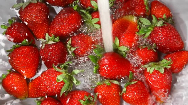 Fragole con Getto d'Aqua, Strawberries and Water, Fraises