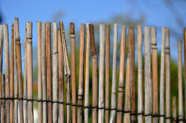  A fence made of twigs in the garden