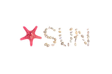 Small seashells and forming a word sun. Summer seaside concept, isolated, studio light