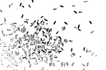 Fototapeta na wymiar Raw white rice explosion. Thrown rice seeds on white background. Silhouette of flakes, spread on the flat surface or table. Top view. Vector.