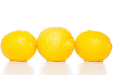 Lemons on white background