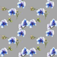 Fototapeta na wymiar Watercolor blue orchids seamless pattern, hand painted on a grey background