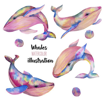 Collection, set of watercolor whales, hand painted isolated on a white background