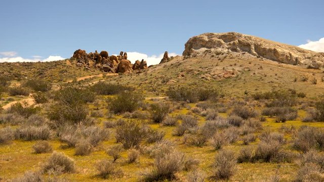desert hill side in the Mojave desert 