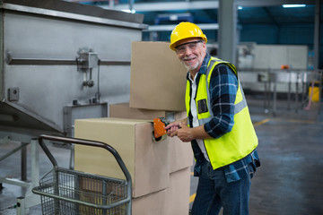 Portrait of factory worker loading cardboard boxes