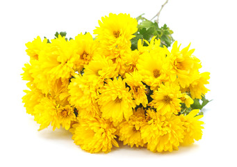 Bouquet yellow chrysontamy.
