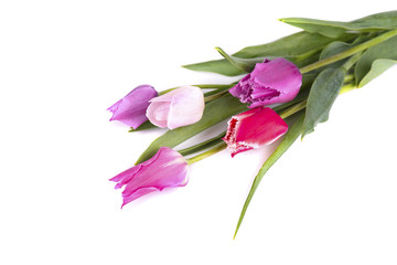 Fototapeta na wymiar Bouquet of colorful tulips isolated on white background. Spring bouquet.