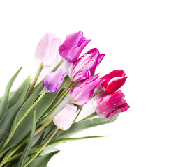 Bouquet of colorful tulips isolated on white background. Spring bouquet.