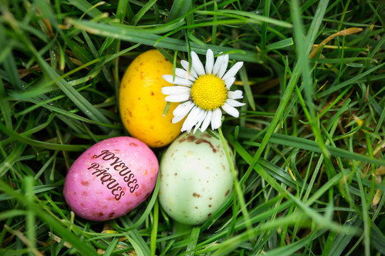 joyeuses paques against small easter eggs nestled in the grass with a daisy