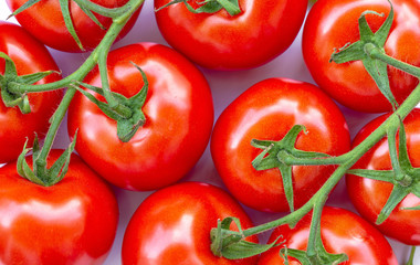 Fresh tomatoes isolated 4