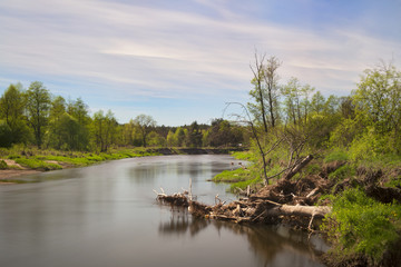 Fototapeta na wymiar Wiona nad rzeką