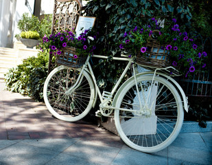 Fototapeta na wymiar Bike in the park