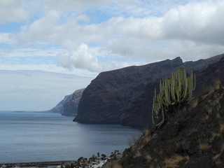 Teneriffa, Felsen