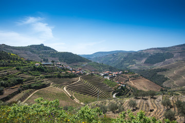 Fototapeta na wymiar spring the Douro valley, view of the hills overgrown with vines
