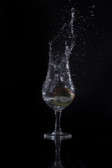 glass, water, drink, splash, kiwi