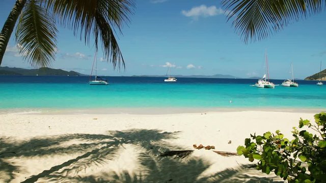 Tropical beach scene