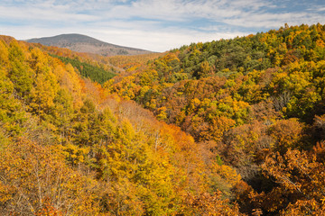 Nakatsugawa gorge at Fukushima in autumn