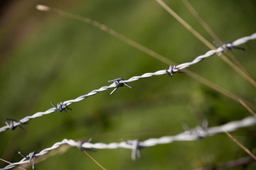 Wired Fence
