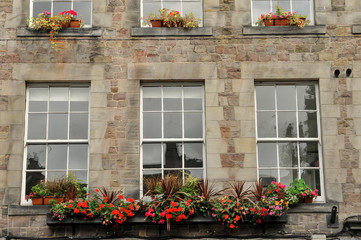 Fototapeta na wymiar Janelas em Edimburgo, na Escócia